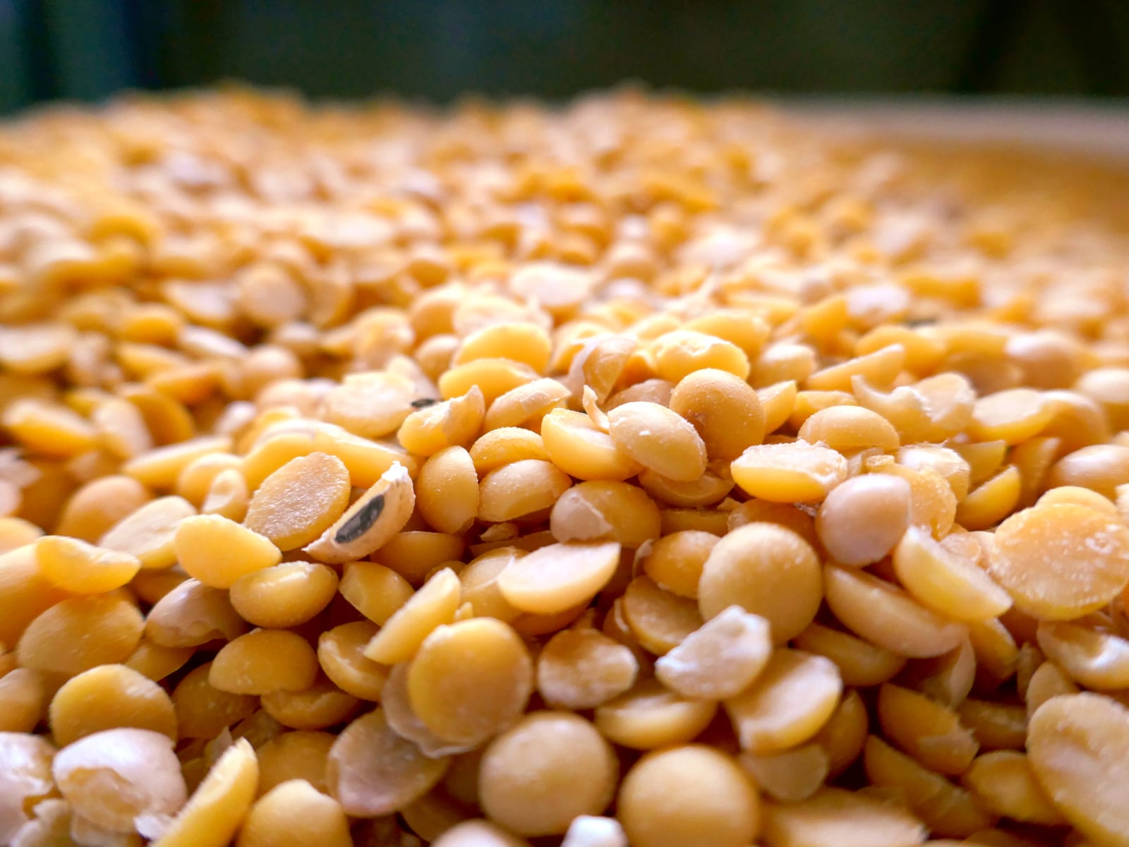 Un soja bio, trempé et cuit avec soin