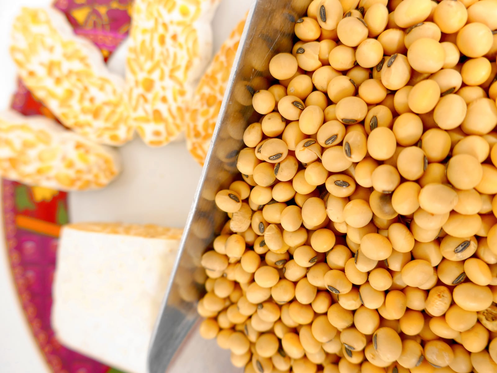 Tempeh Nature, frais et non pasteurisé