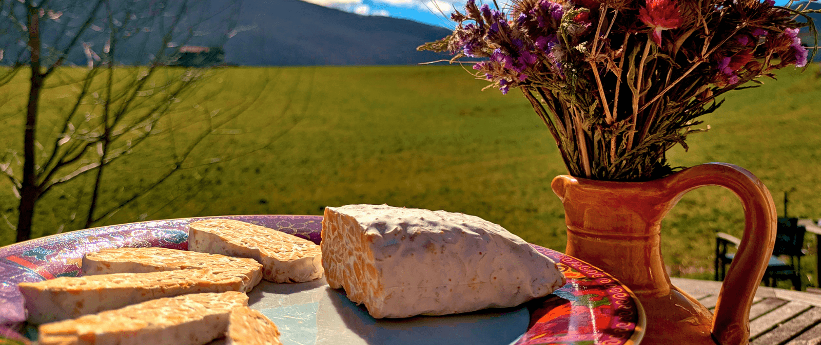 Le Tempeh frais et artisanal d’Occitanie 